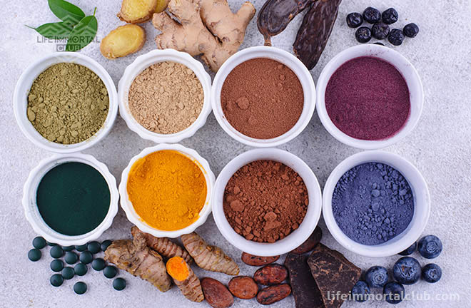 Best Superfood Powder for Gut Health 