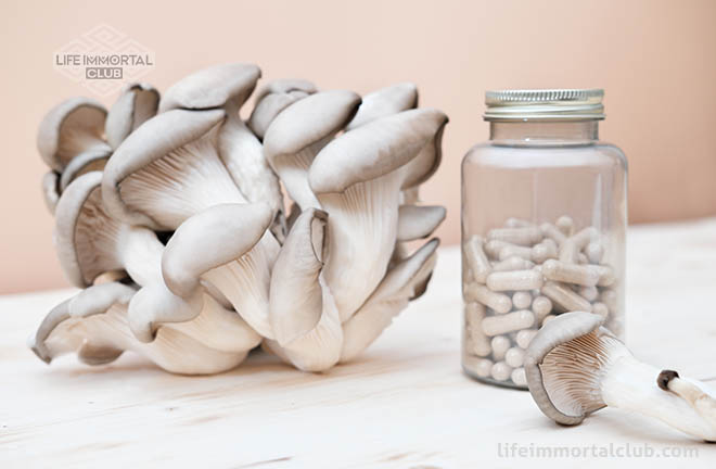 Mushrooms Biohacking With Functional Mushrooms